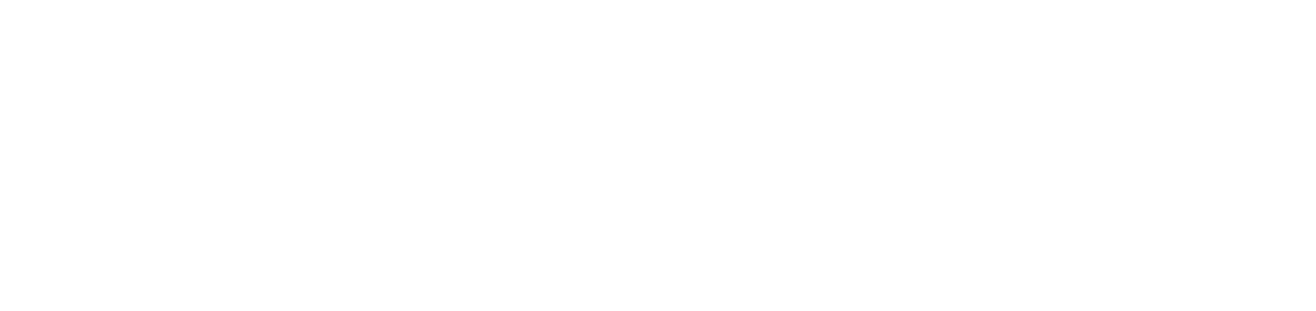 StreamAMG